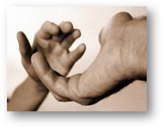 Средства на диспансеризацию детей-сирот