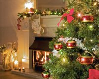 Будьте внимательнее! Проведите новогодние праздники дома, а не в травмпункте!