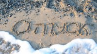 В  ОТПУСК  –  ТОЛЬКО  С  ПОЛИСОМ